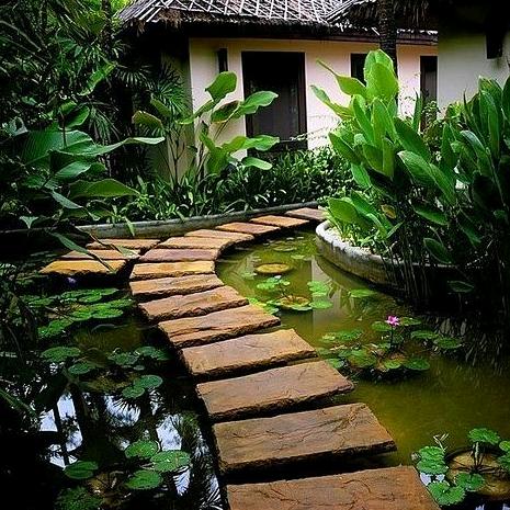 像风一样的自由