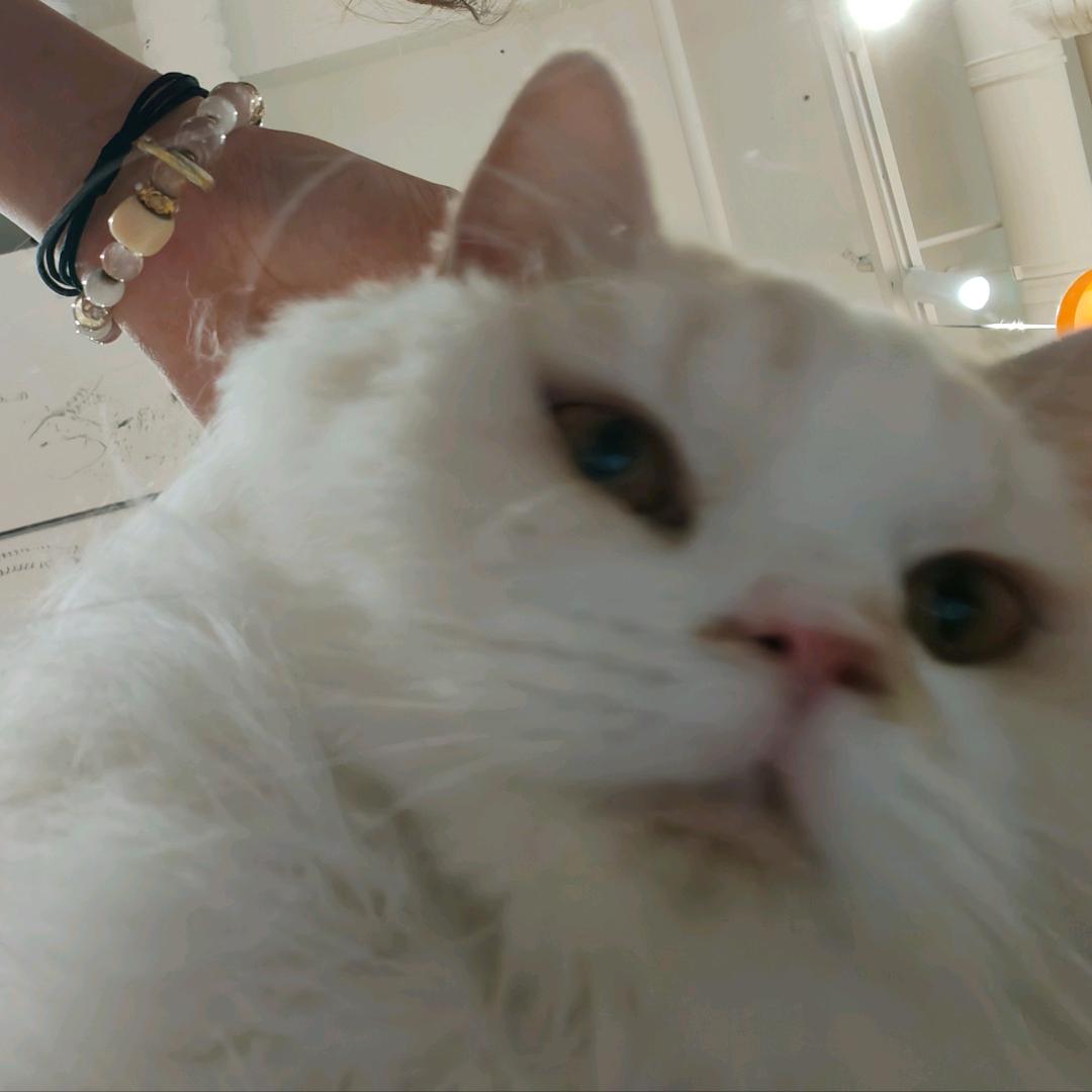 我怎么你了^