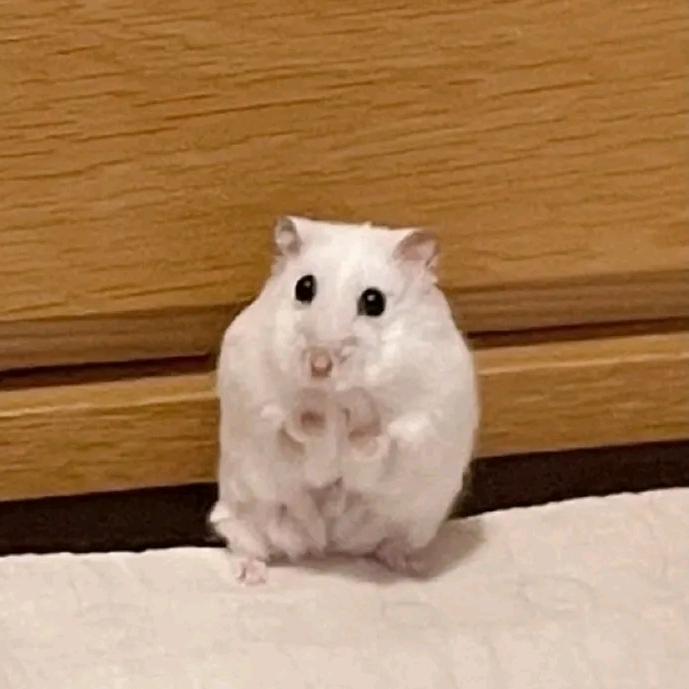 我是谁