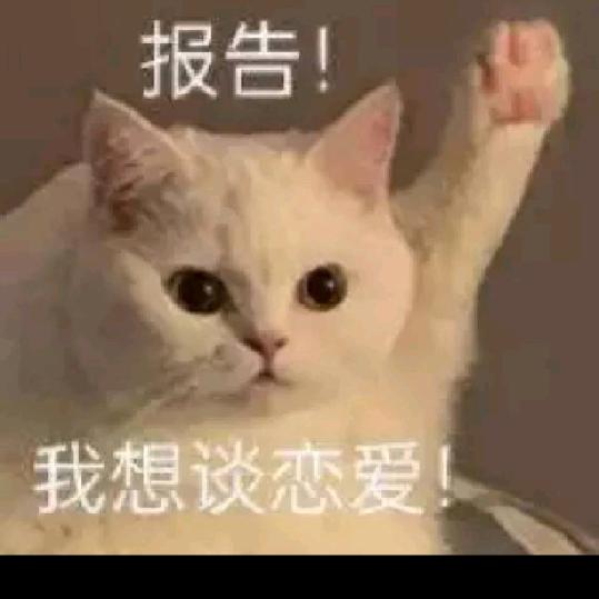 益达跑刀(三角洲行动)