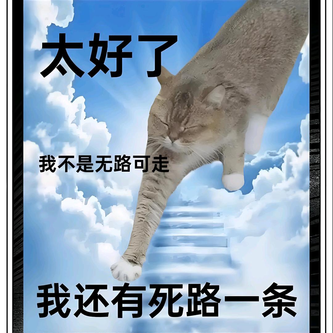 末晨之曦