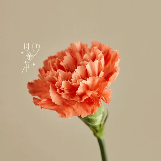 重庆超亿服务有限公司（陪聊天不收米)