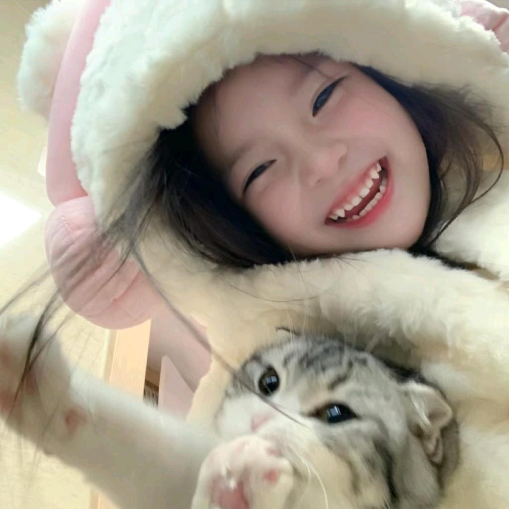 妙脆鲨