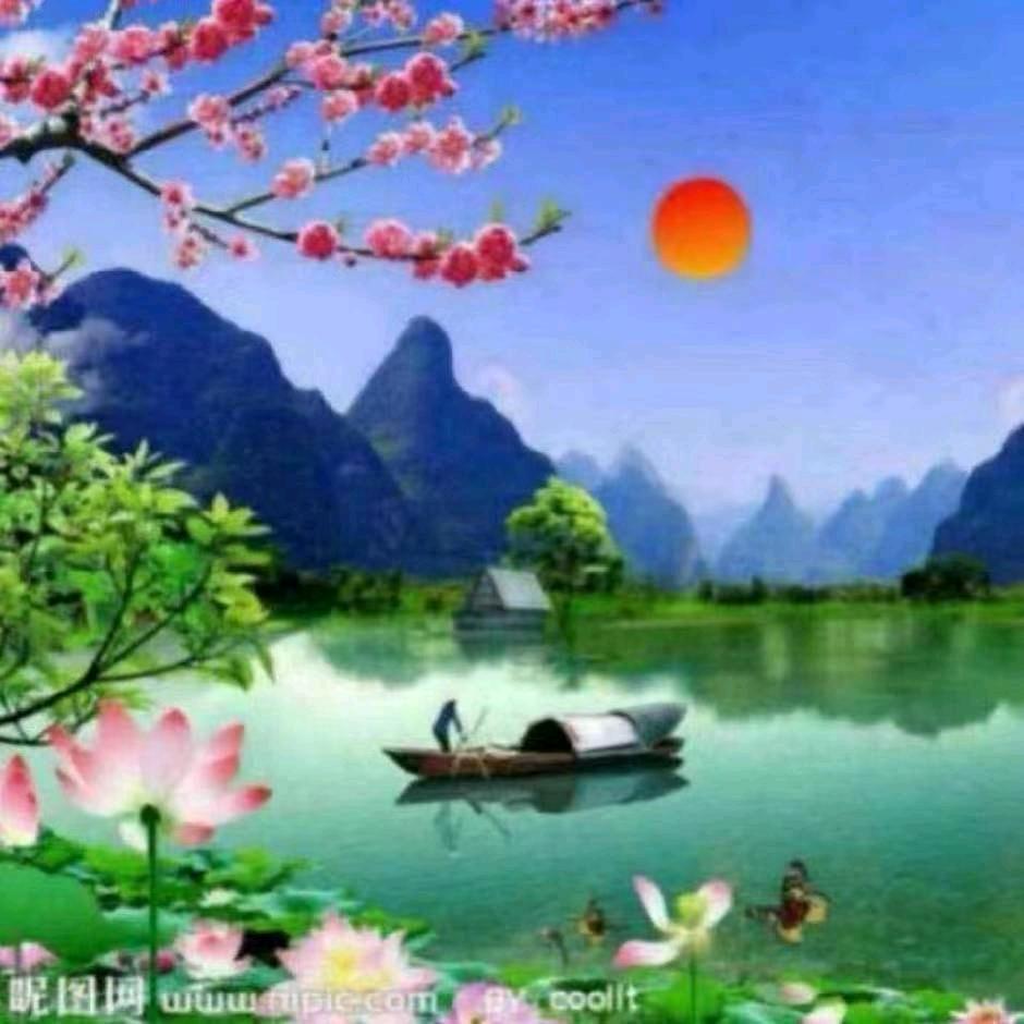 随缘谁能理会我。