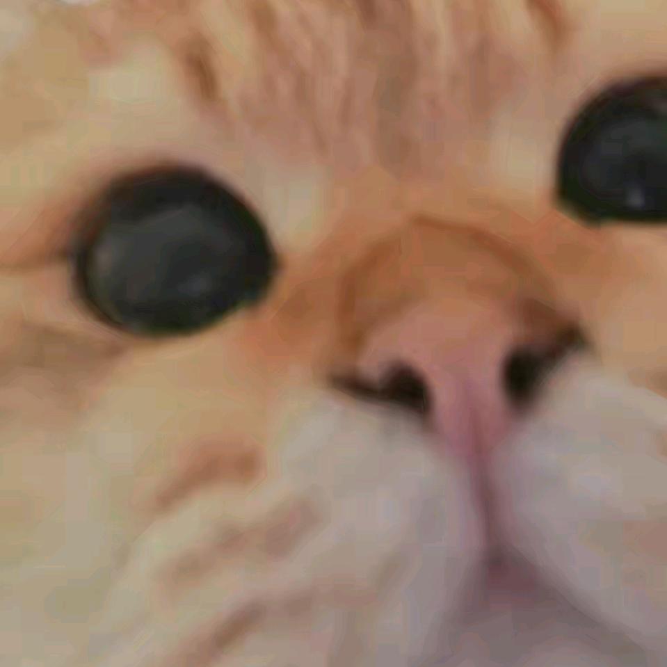 桑
