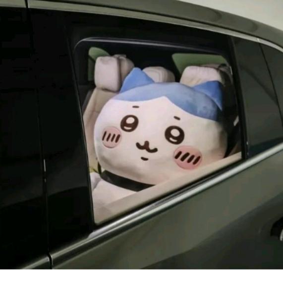 八神一护