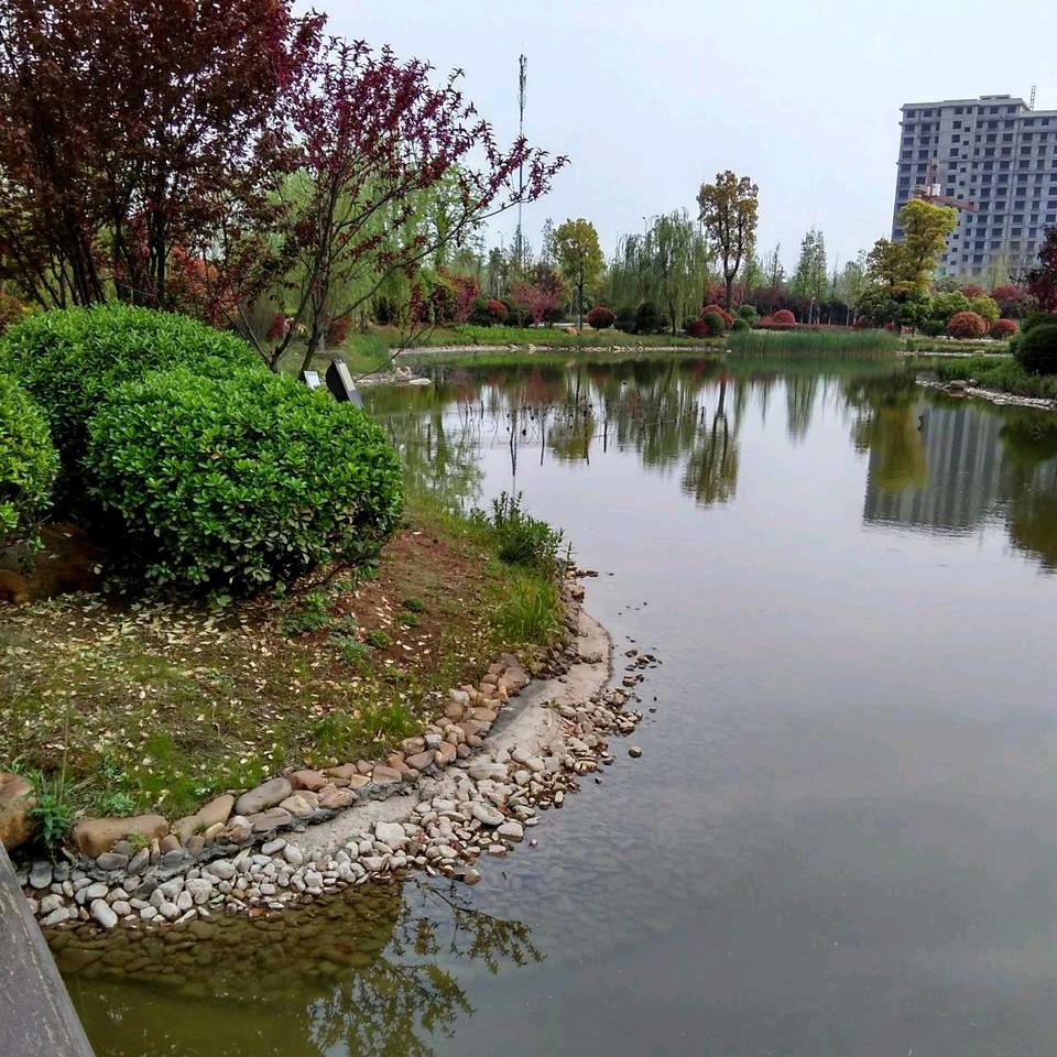 拥君踏山河