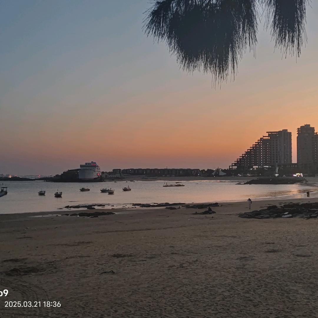 爱骂沙比