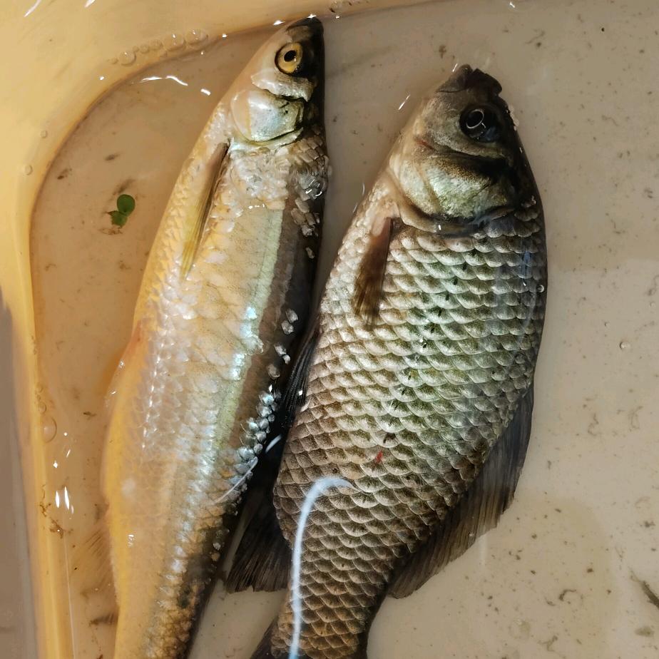 🌈計車行者🎣