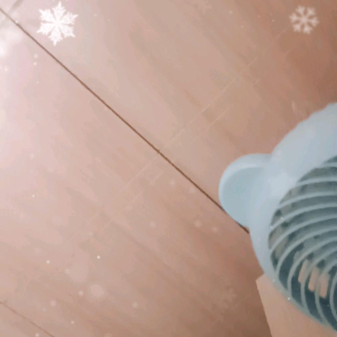 红树枝头
