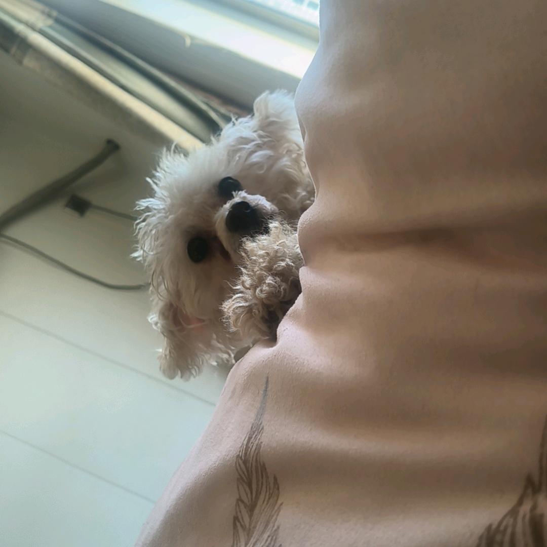 💫别靠近