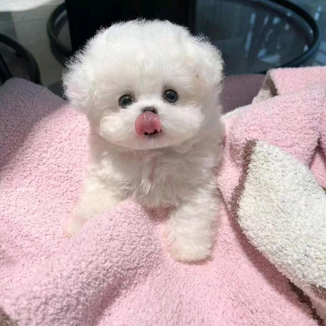 小ξのx1xiao亽ζ韵