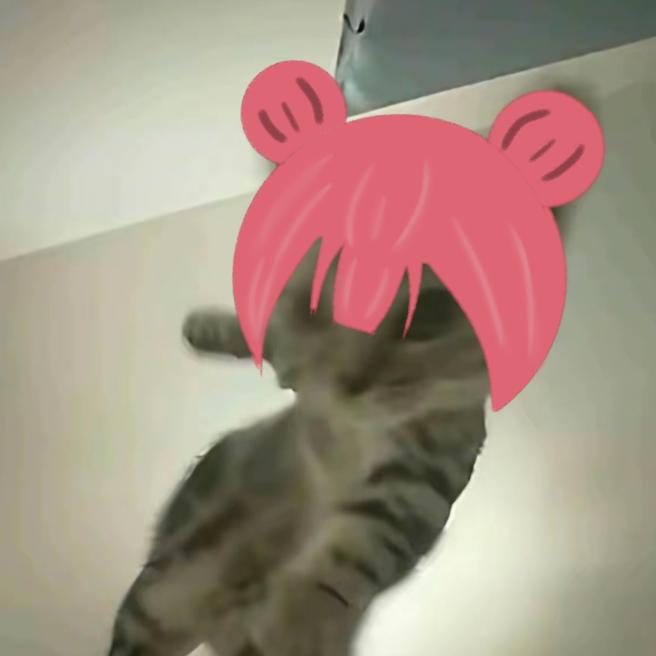 安禽ya