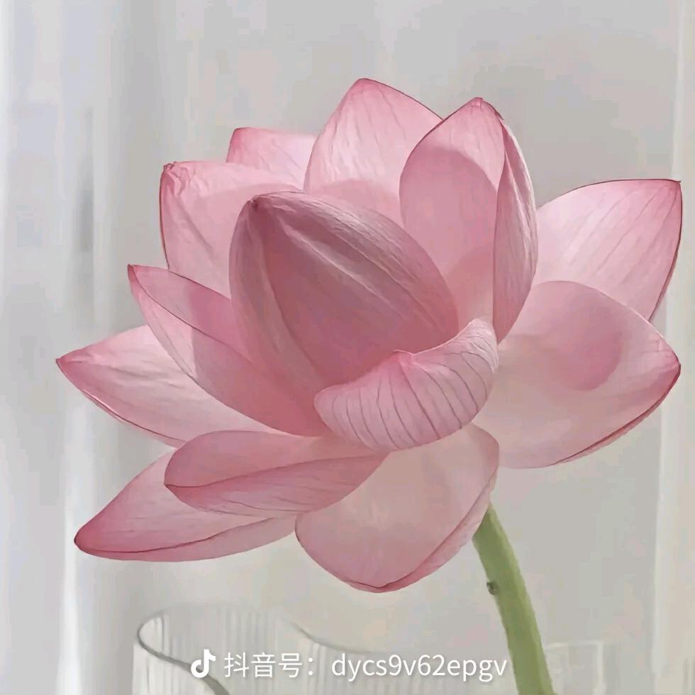 善缘