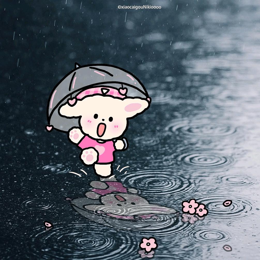 芝士小张卷
