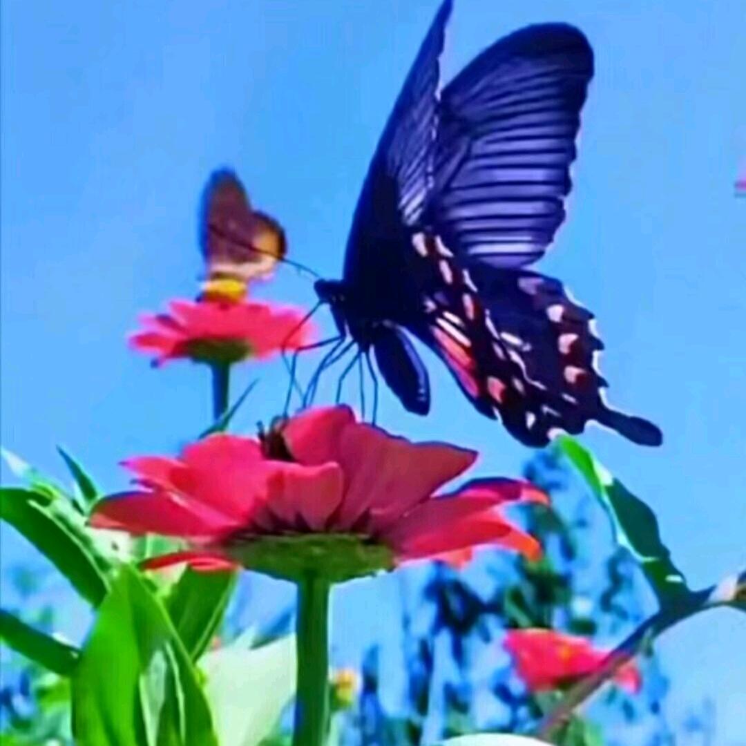 众里寻她千百度