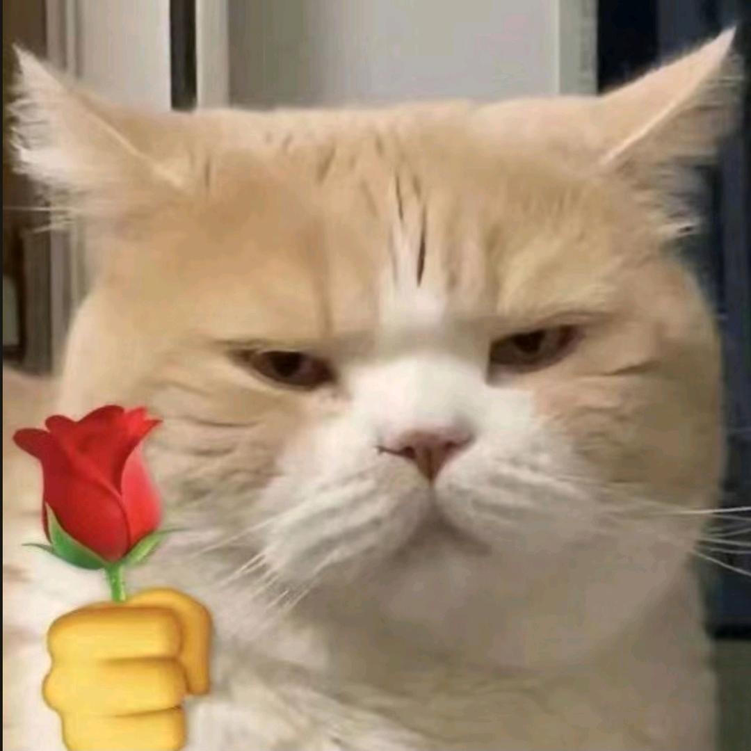 哈儿哥 0：00后开播