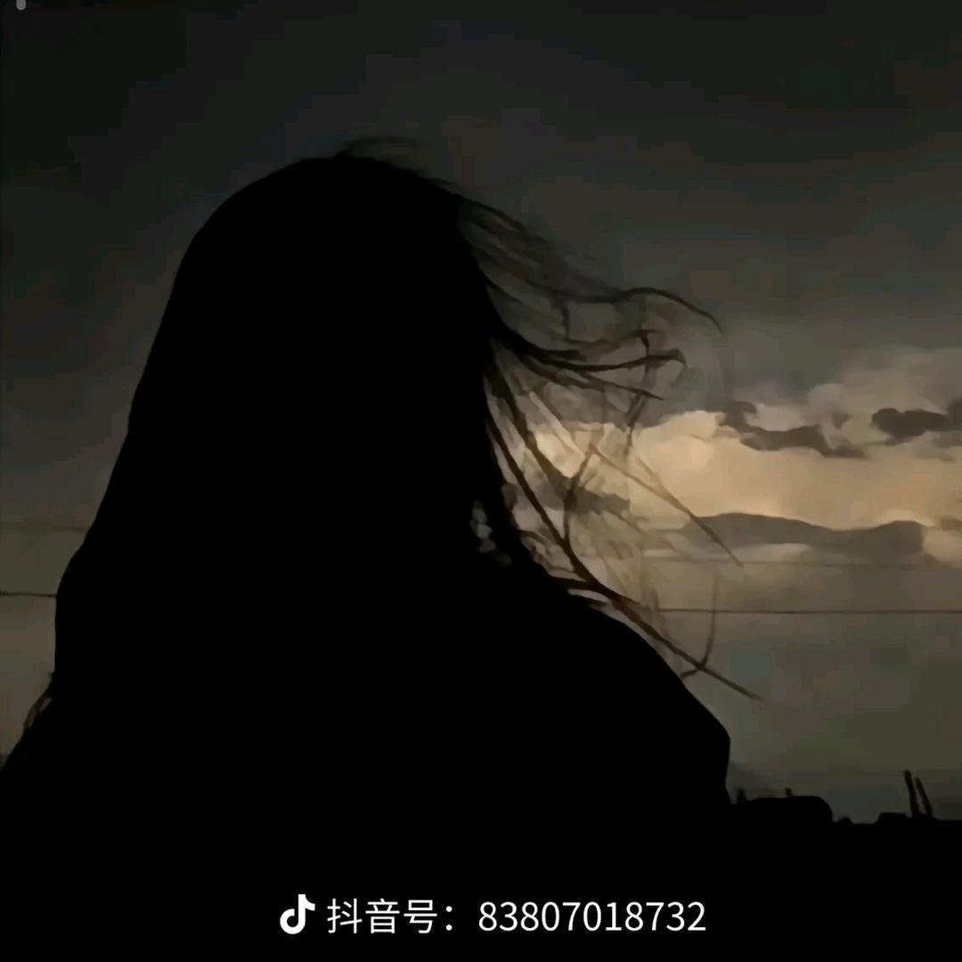 一个🍔汉堡