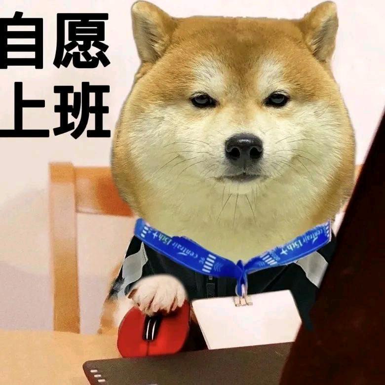 狗蛋儿就是圈
