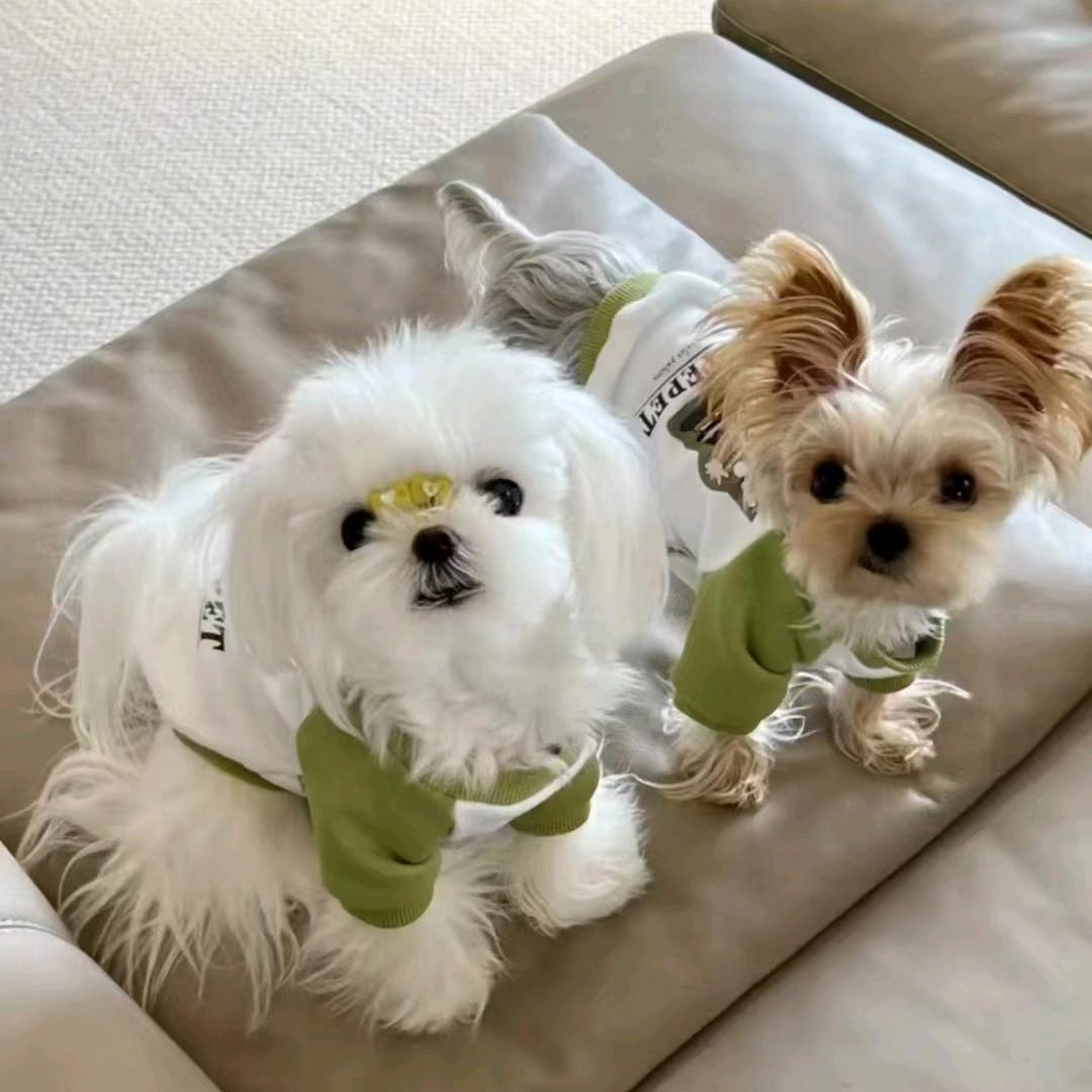 发财