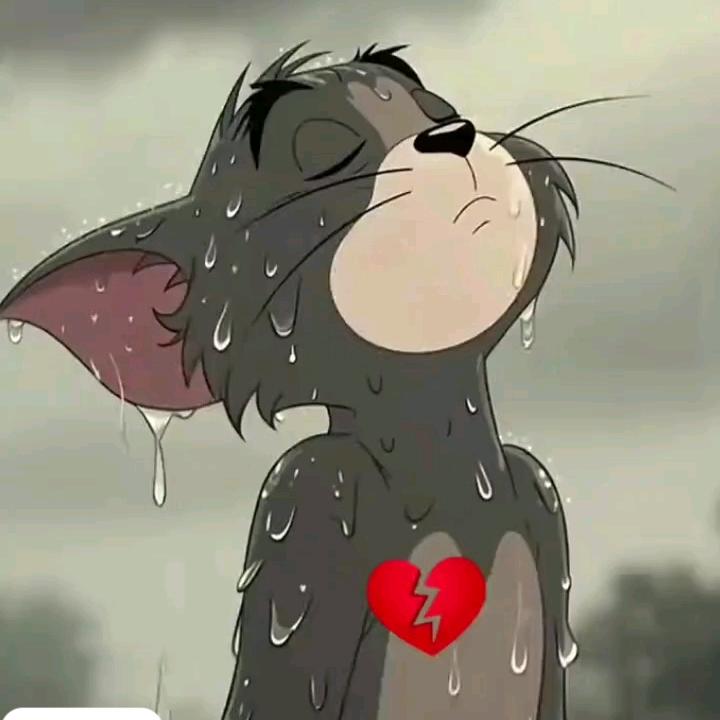 麦尔丹