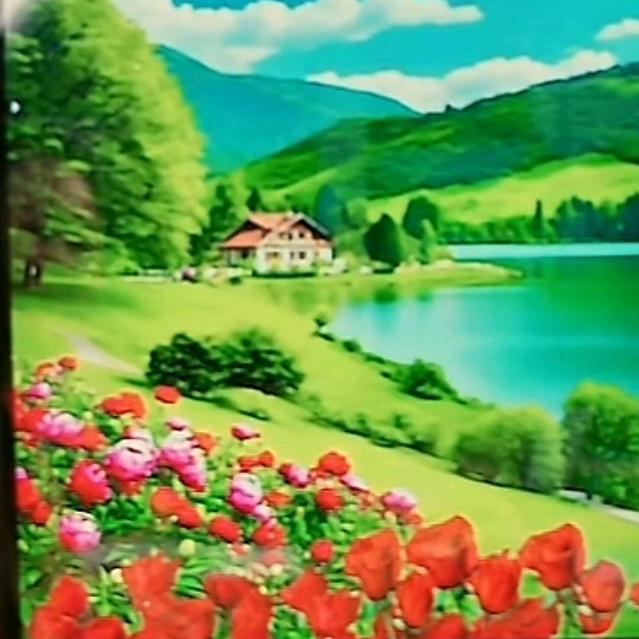 🩵一路繁花🌈꙳˚̩͙ ◌