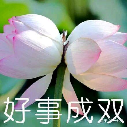 过好每一天🥰