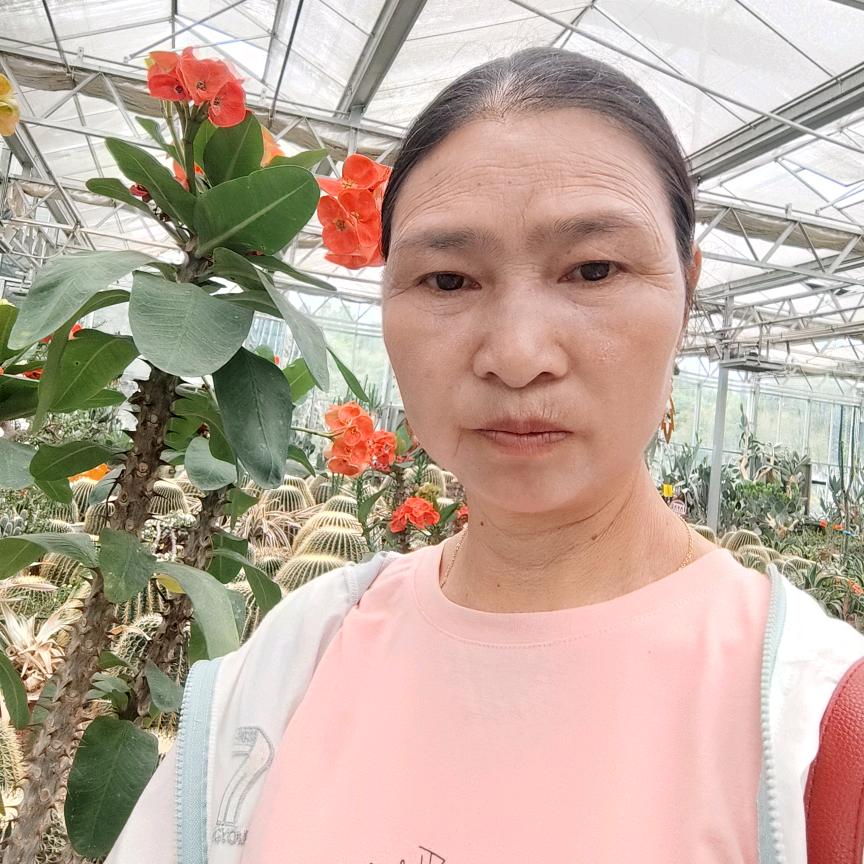 加工纯菜籽油，农家米一′|314