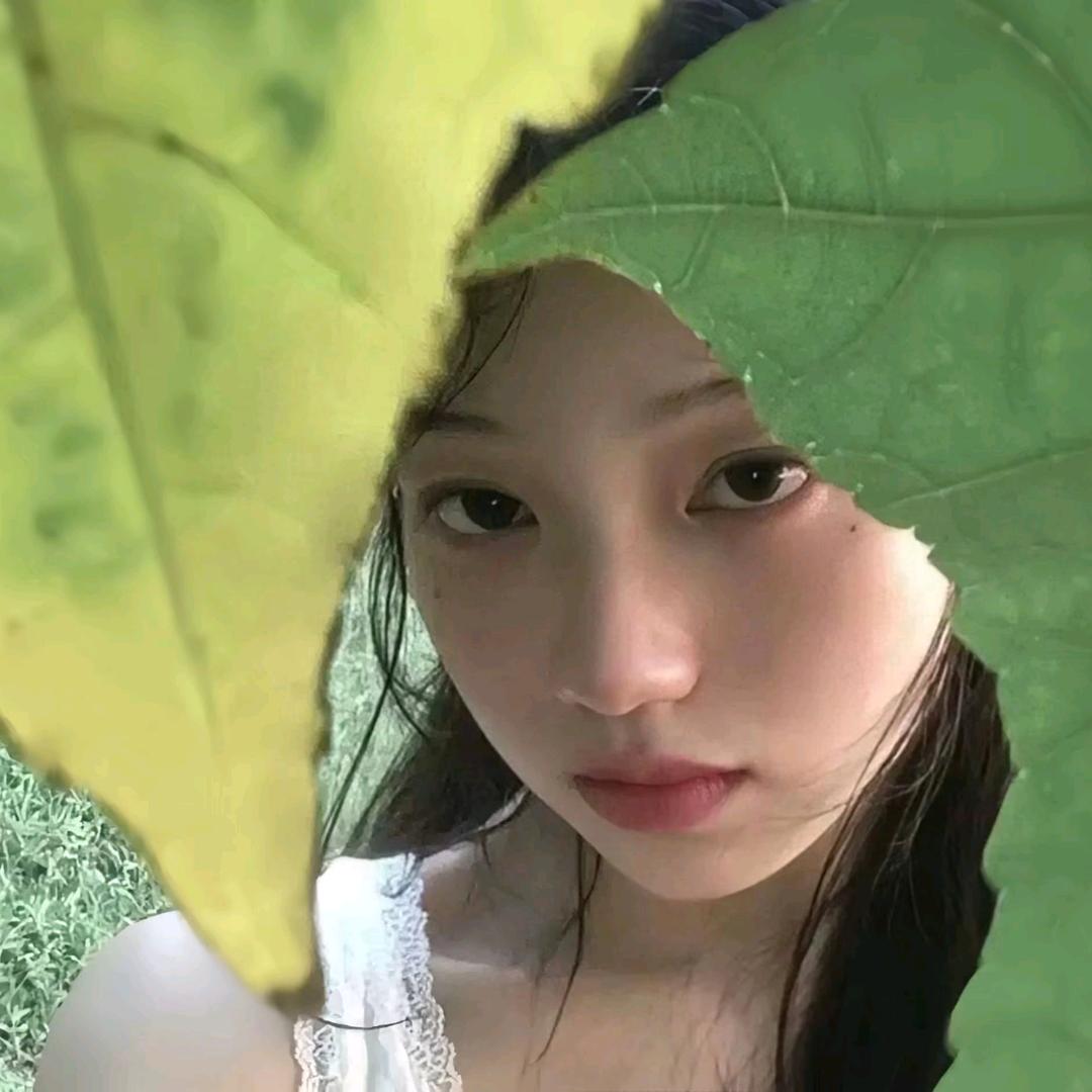 文
