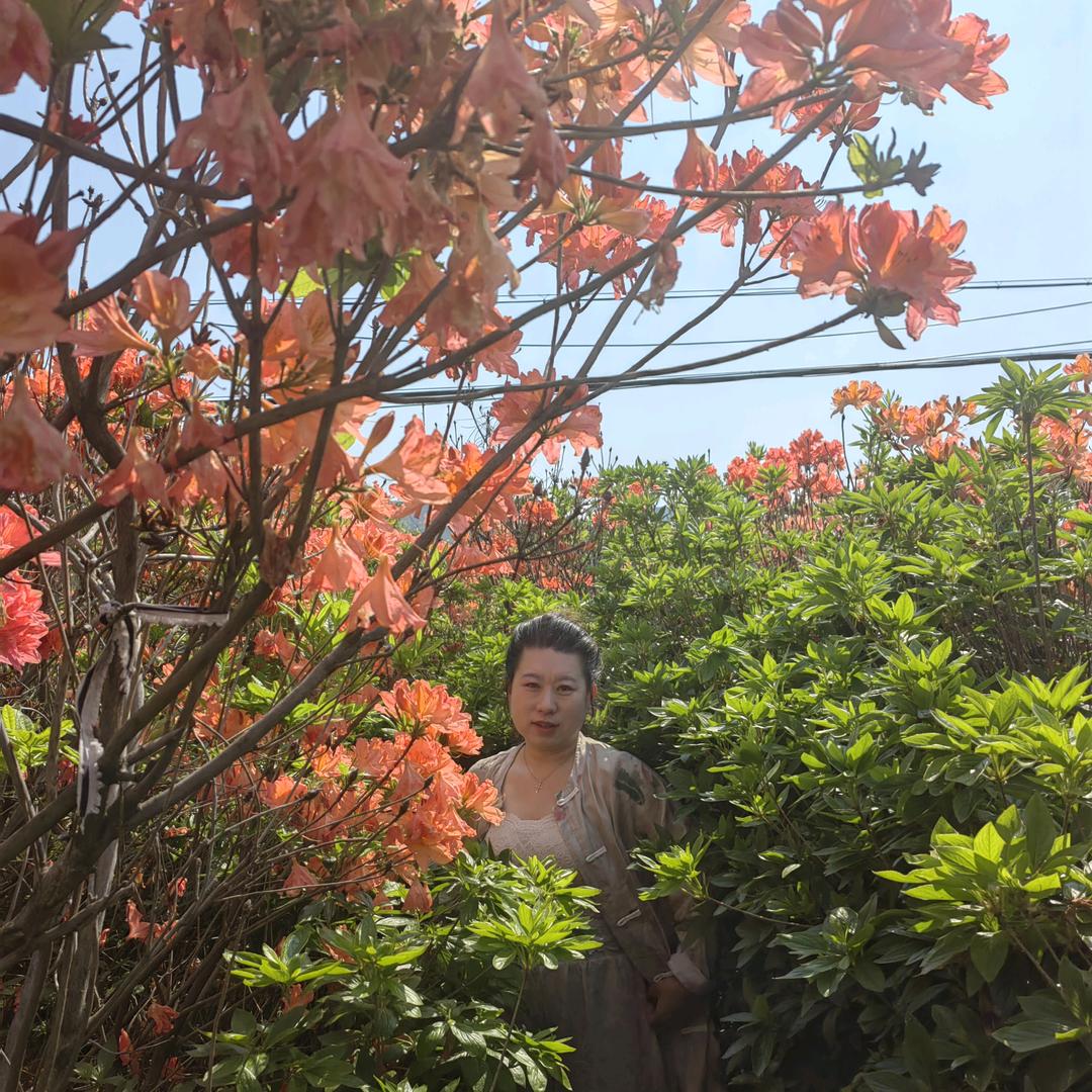 天爱园艺（小雪的花园）