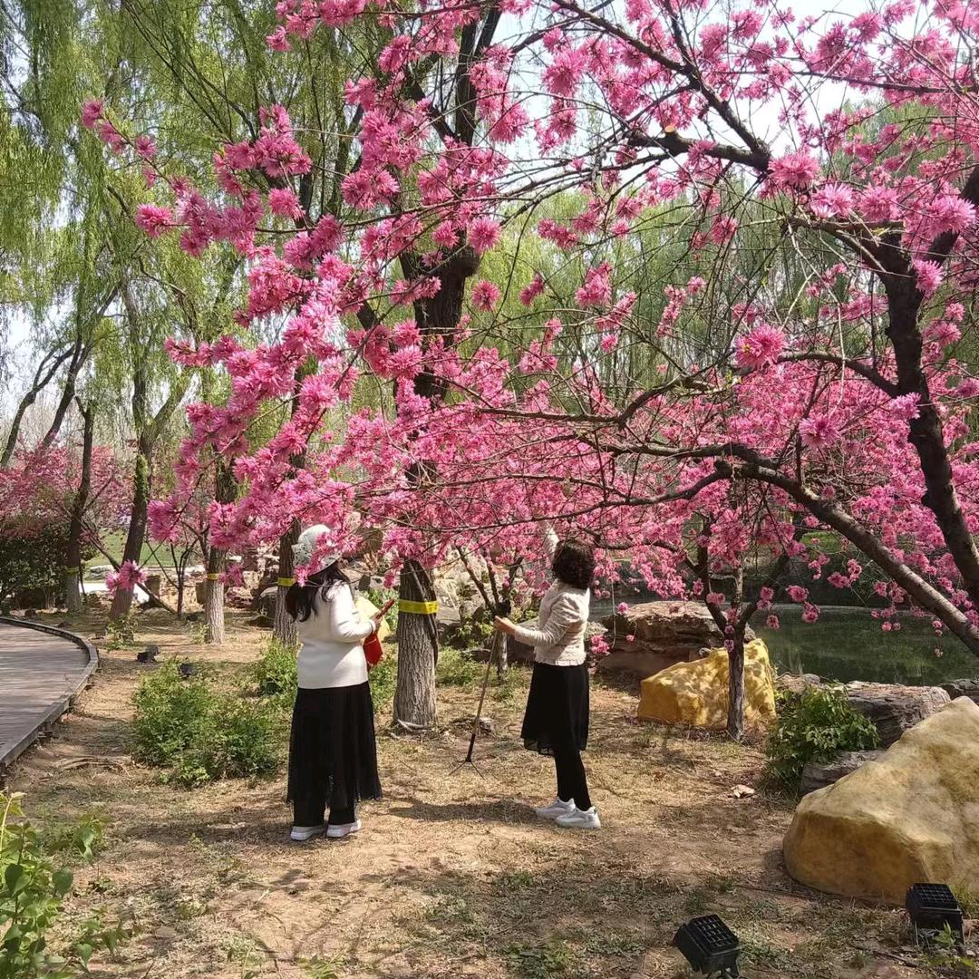 甜蜜