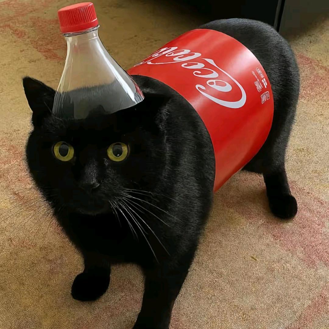 狼