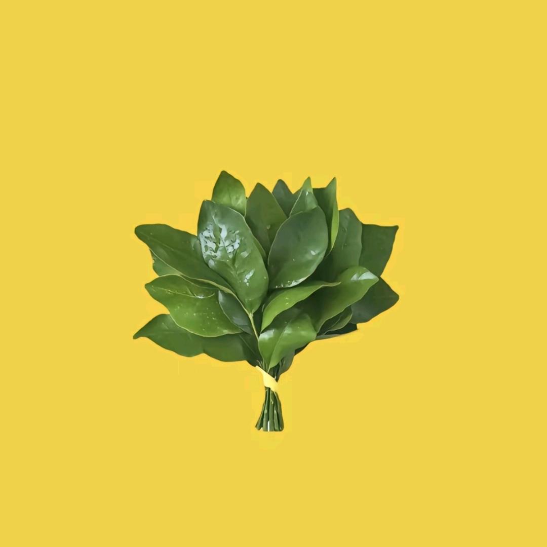 贝贝🌻
