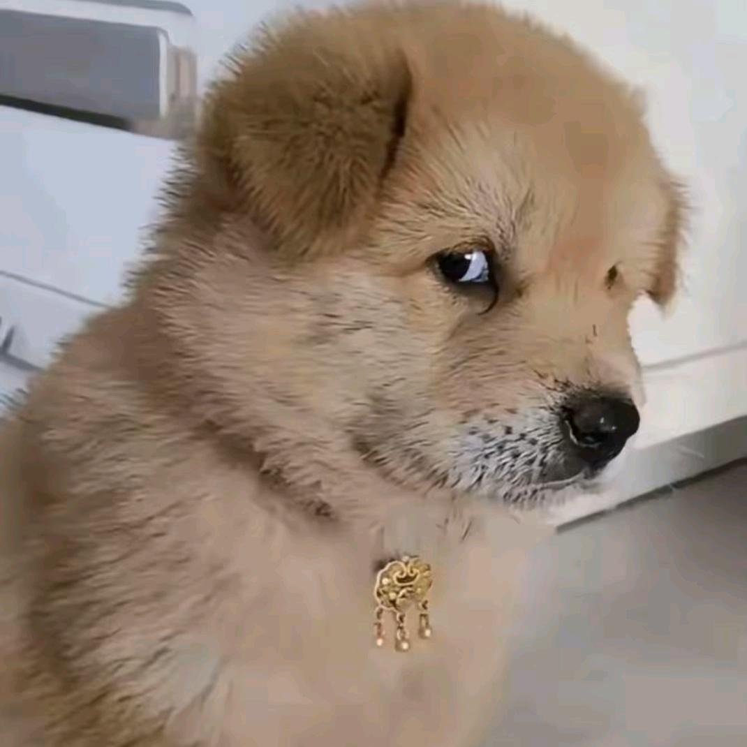 风中有朵雨做的云