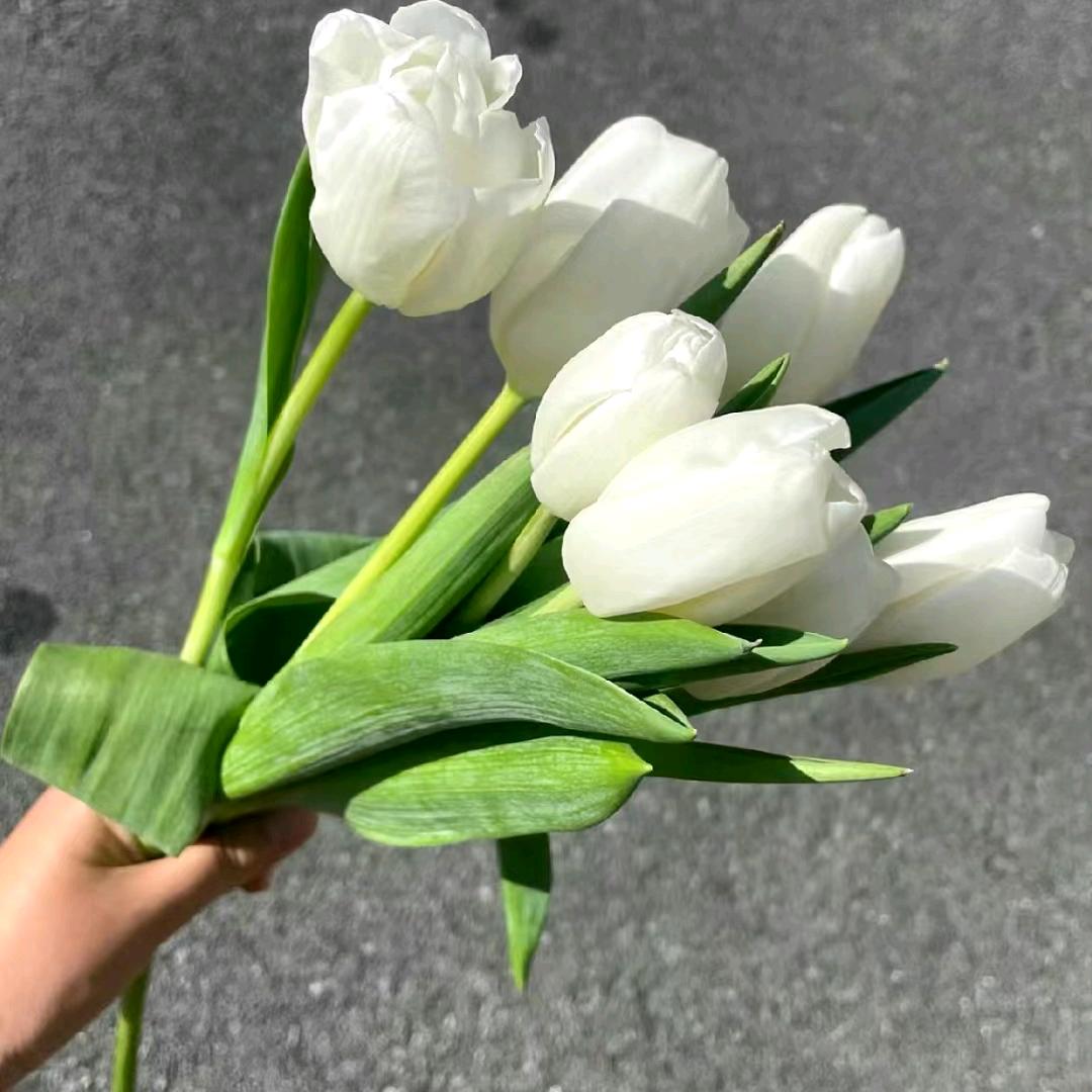 MIUCO女装沫沫专场