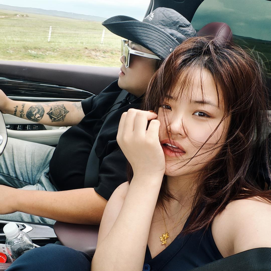 安佳机械租赁 安佳宝