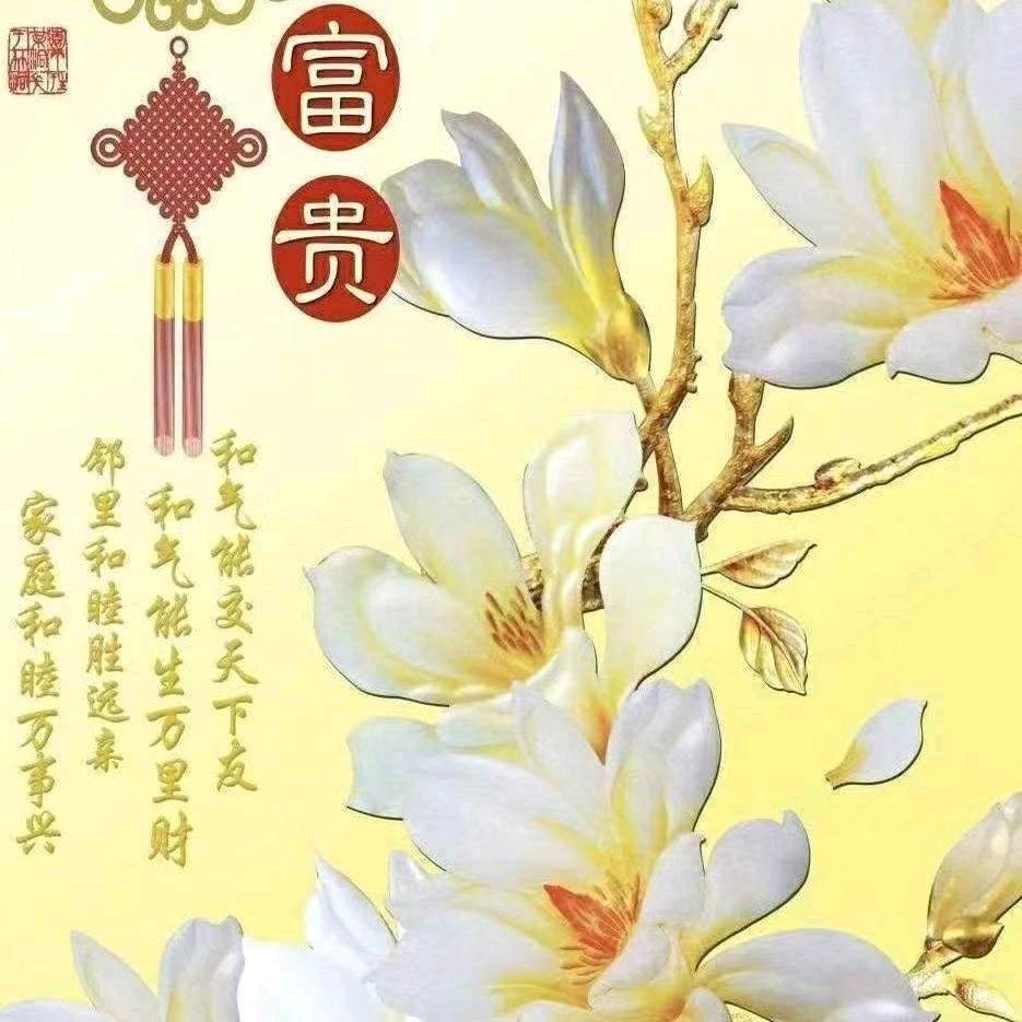 🇨🇳王籽茗🇨🇳  爱国的80后