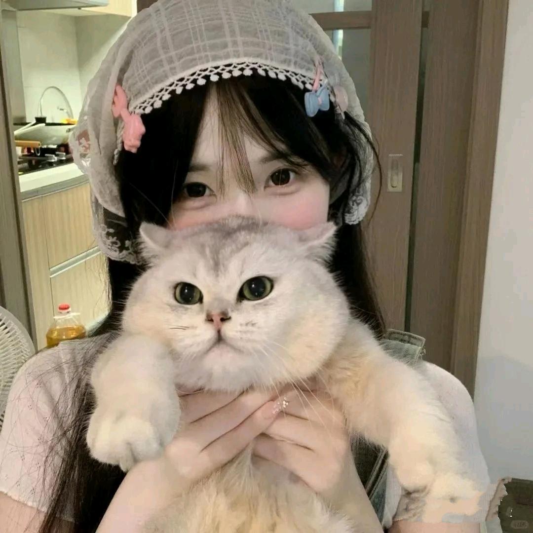打杂的猫
