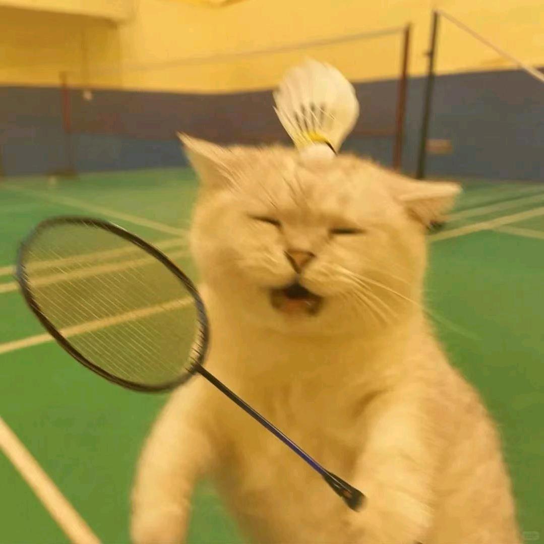 修勾想睡觉