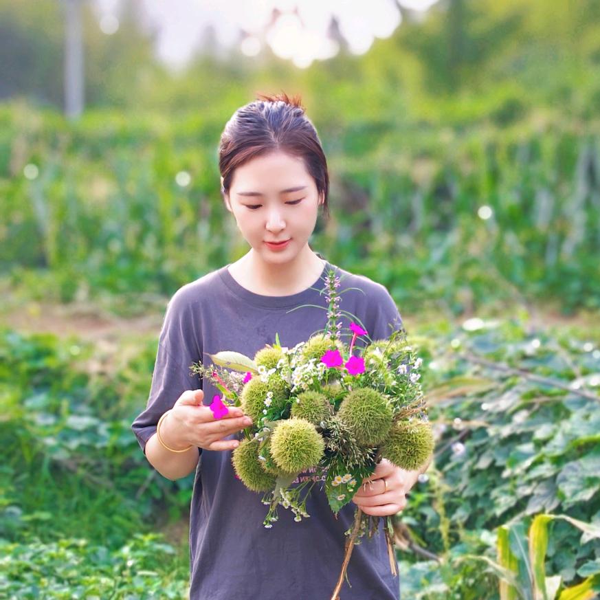 鸿玲 🌾