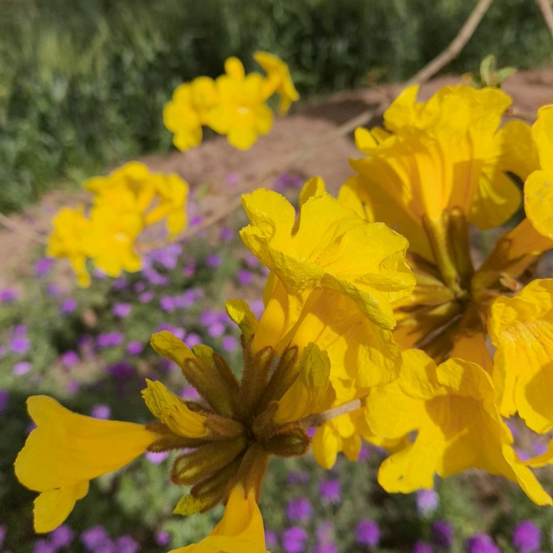 静姐《明晚9点首播》