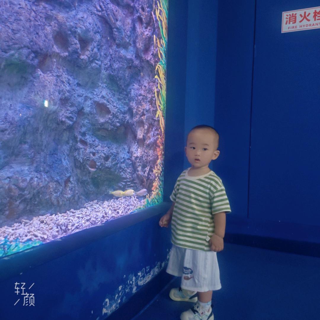 画个圈圈