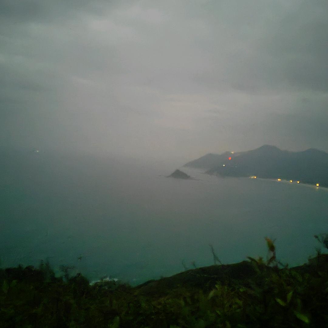 醉李挑灯看贱