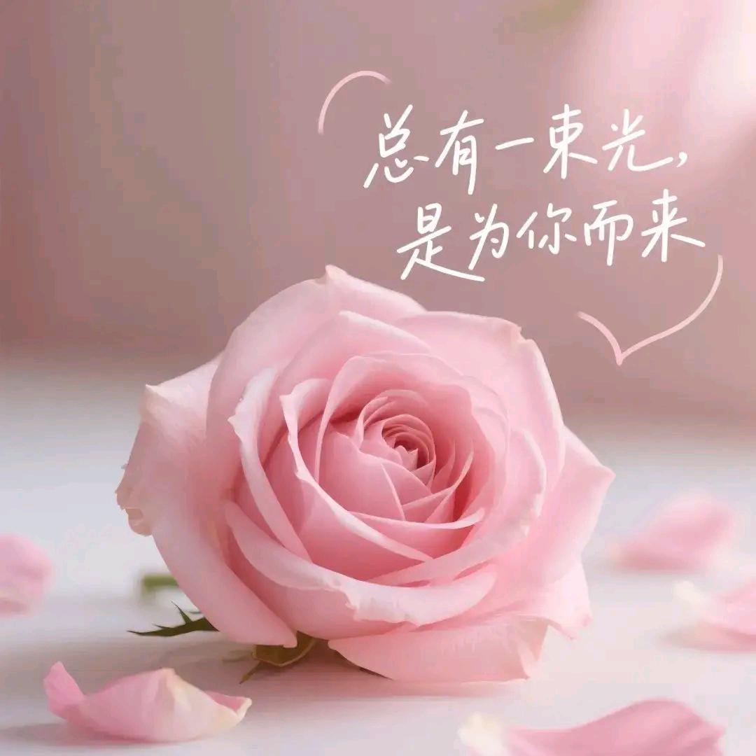 ✨小开开