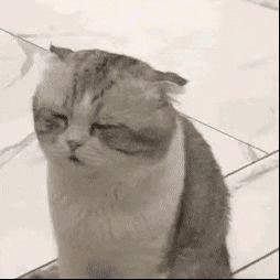 柠檬（三角洲行动）