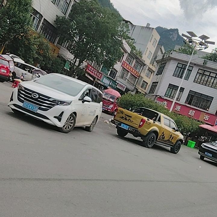 毛哥