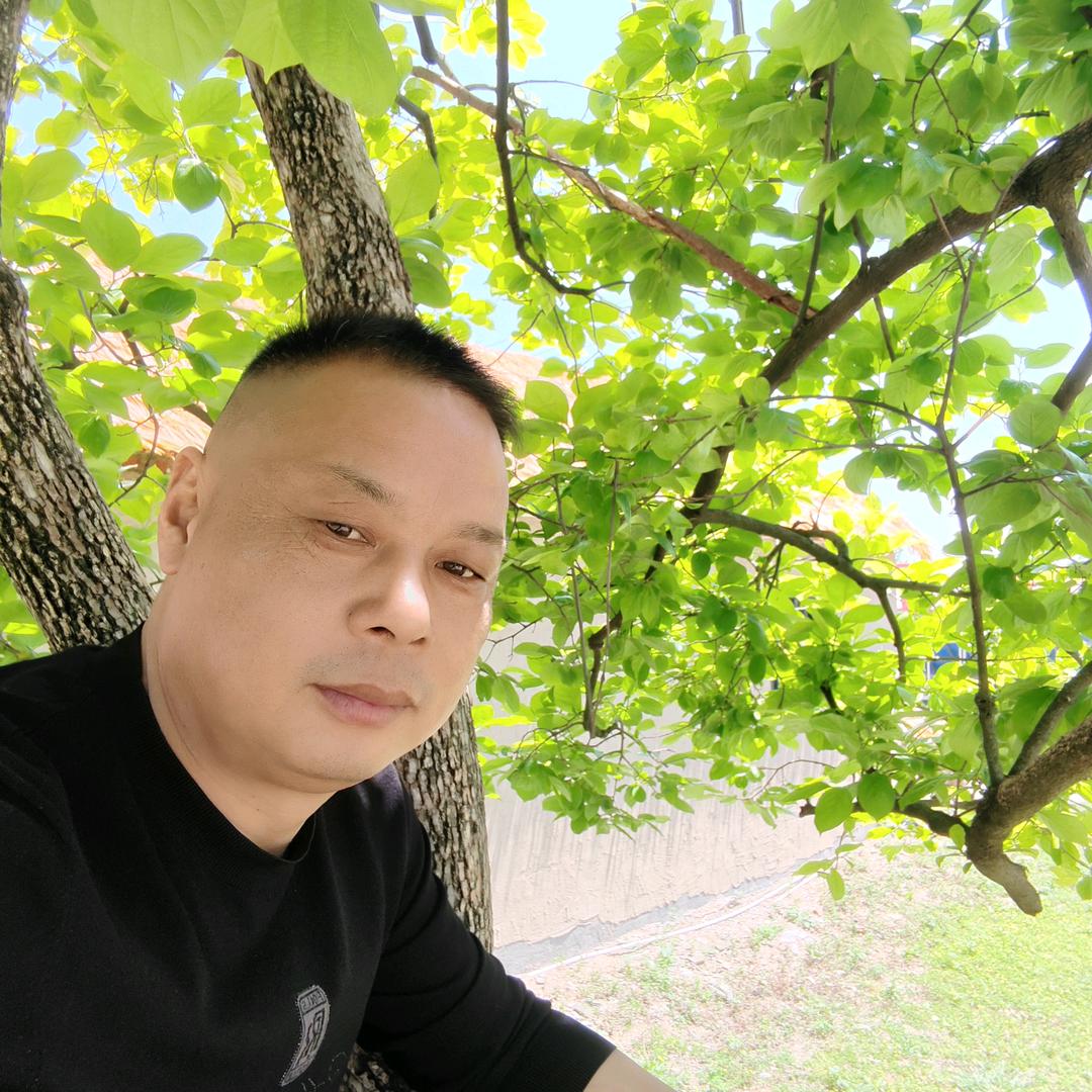 清听松月