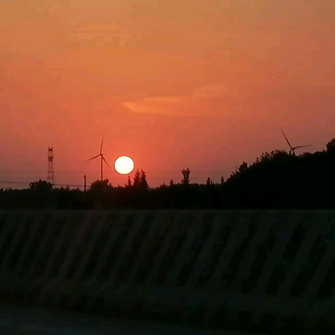 我若不勇敢，谁替我坚强！