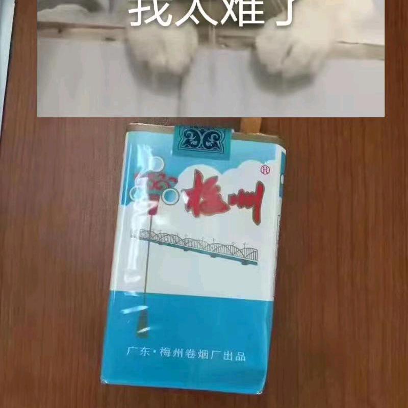 修仙