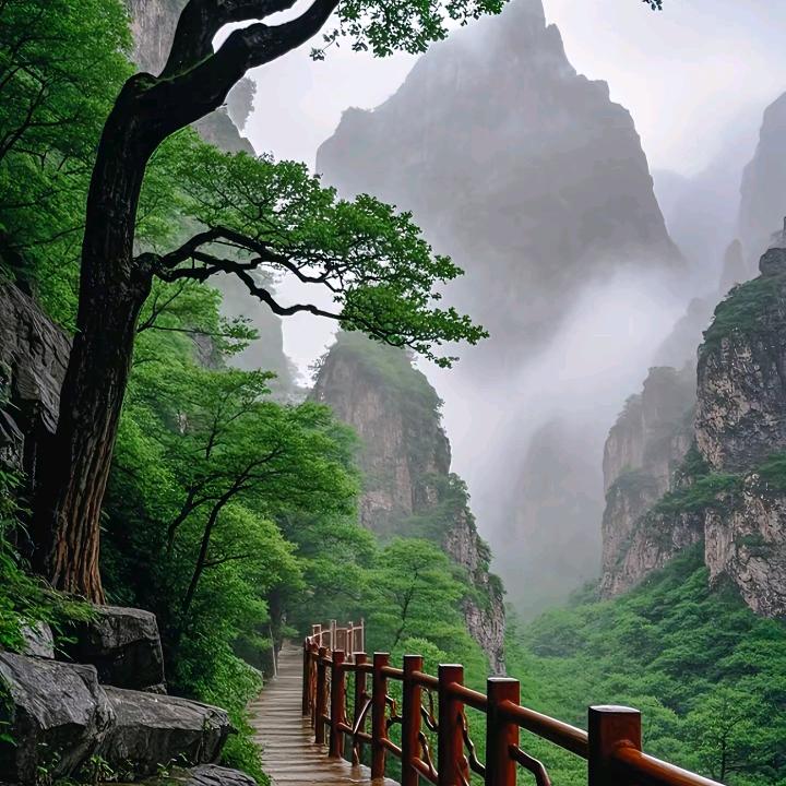 竹影清风